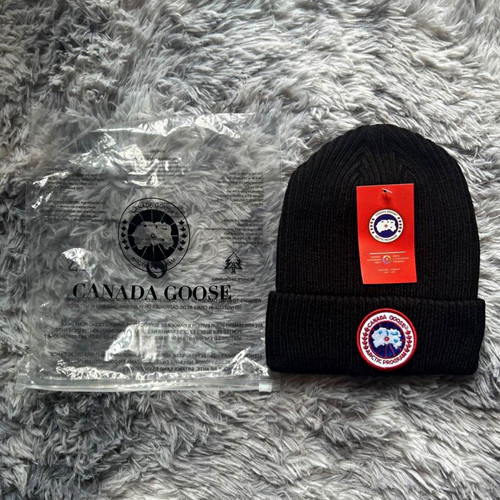 Canada goose arctic - goose, program