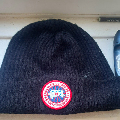 Canada goose arctic program - arctic,